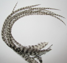 ���� Dry Fly (��� ����� ���) 10 �� ������ ���� , ������ � 14-16